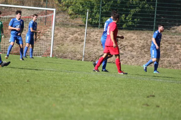 TSV Hertingshausen vs. SG Kirchberg/Lohne