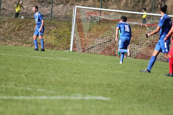 TSV Hertingshausen vs. SG Kirchberg/Lohne