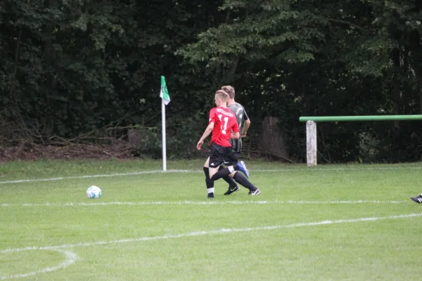 FSG Chattengau/ Metze vs. TSV Hertingshausen II