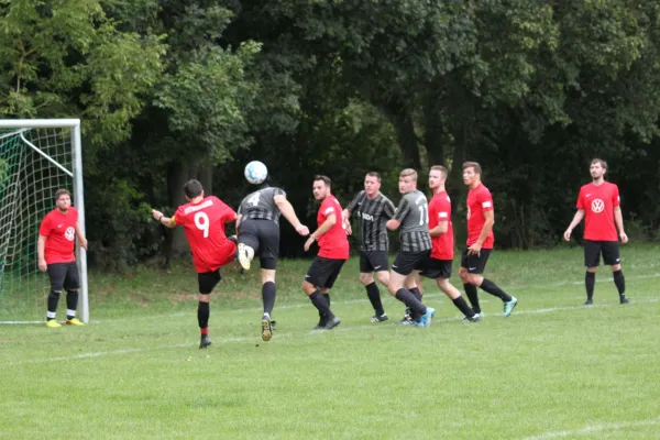 FSG Chattengau/ Metze vs. TSV Hertingshausen II