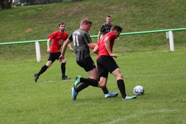 FSG Chattengau/ Metze vs. TSV Hertingshausen II