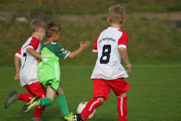 TSV Hertingshausen vs. Olympia Kassel II