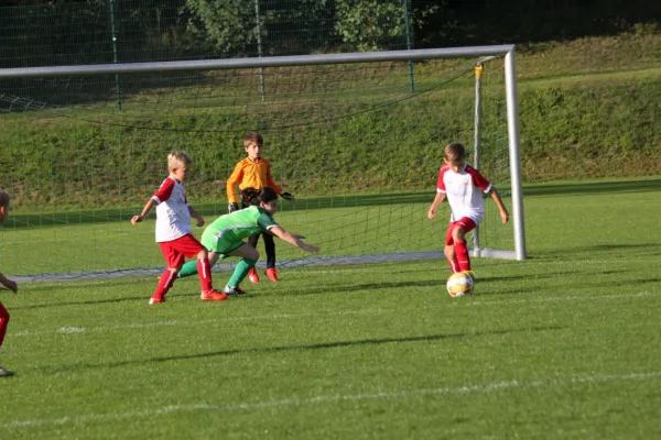 TSV Hertingshausen vs. Olympia Kassel II