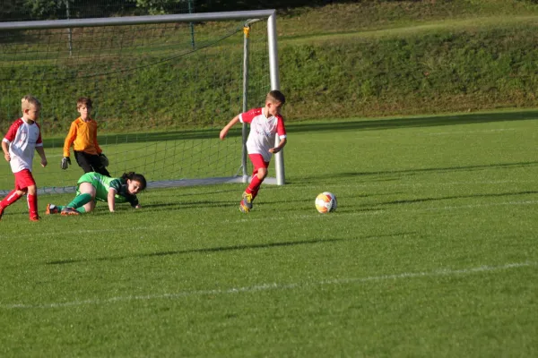 TSV Hertingshausen vs. Olympia Kassel II