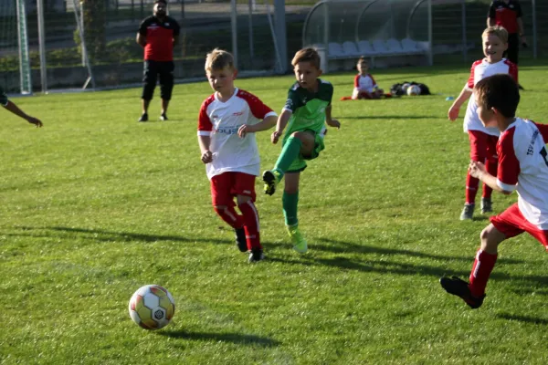 TSV Hertingshausen vs. Olympia Kassel II