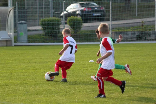 TSV Hertingshausen vs. Olympia Kassel II