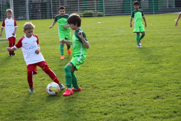 TSV Hertingshausen vs. Olympia Kassel II