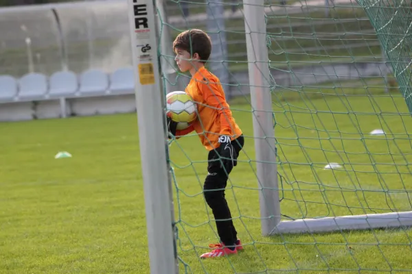 TSV Hertingshausen vs. Olympia Kassel II