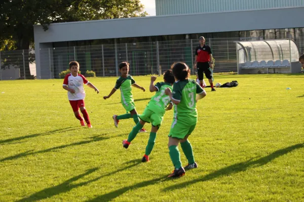 TSV Hertingshausen vs. Olympia Kassel II