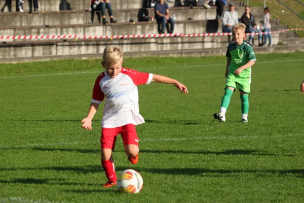 TSV Hertingshausen vs. Olympia Kassel II