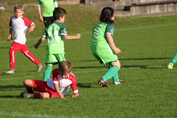 TSV Hertingshausen vs. Olympia Kassel II