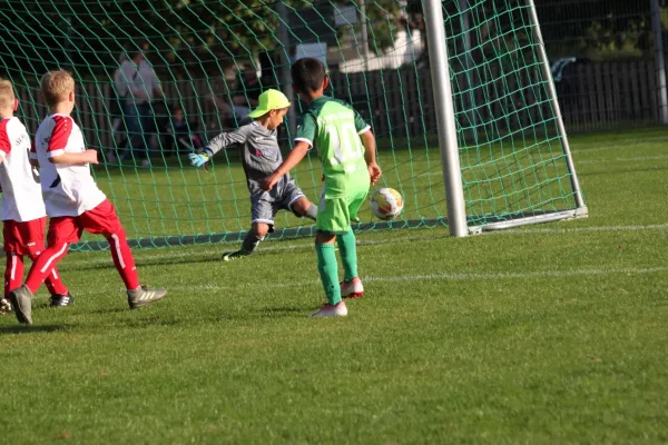 TSV Hertingshausen vs. Olympia Kassel II