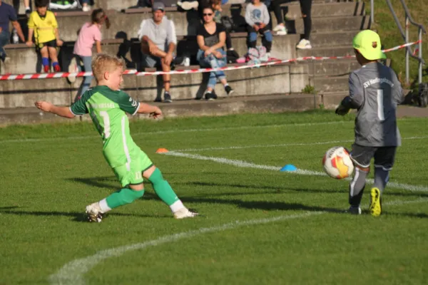 TSV Hertingshausen vs. Olympia Kassel II