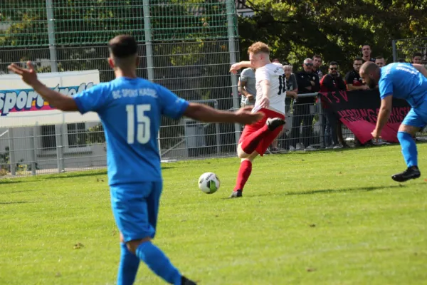 TSV Hertingshausen II : BC Sport Kassel II