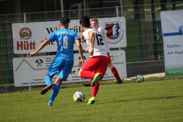 TSV Hertingshausen II : BC Sport Kassel II