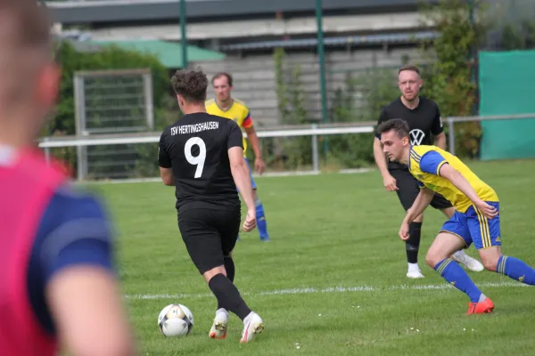 1. FC Schwalmstadt vs. TSV Hertingshausen