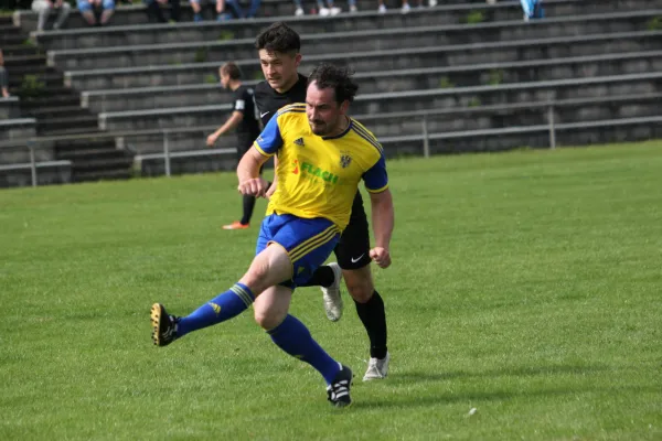 1. FC Schwalmstadt vs. TSV Hertingshausen
