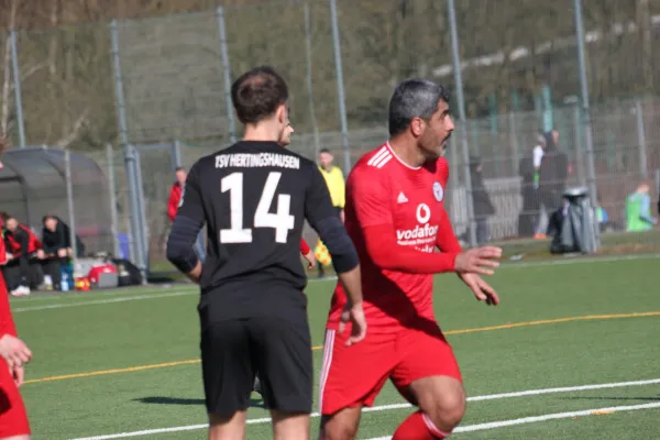TSV Hertingshausen vs. FSG Gudensberg