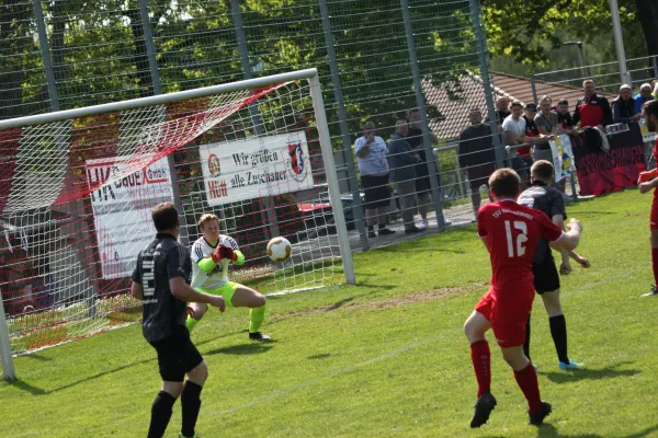 TSV Hertingshausen vs. SG Bad Wildungen/Friedr.