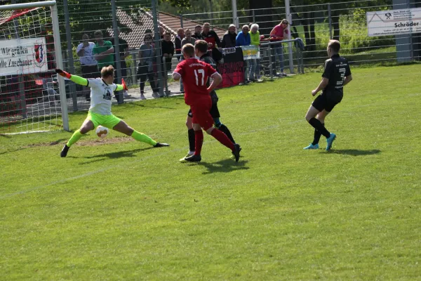 TSV Hertingshausen vs. SG Bad Wildungen/Friedr.