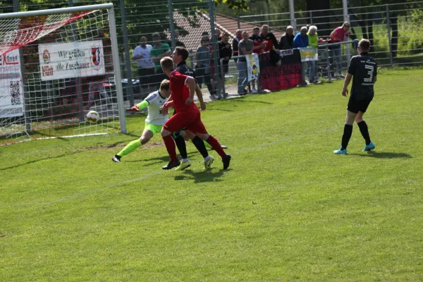 TSV Hertingshausen vs. SG Bad Wildungen/Friedr.