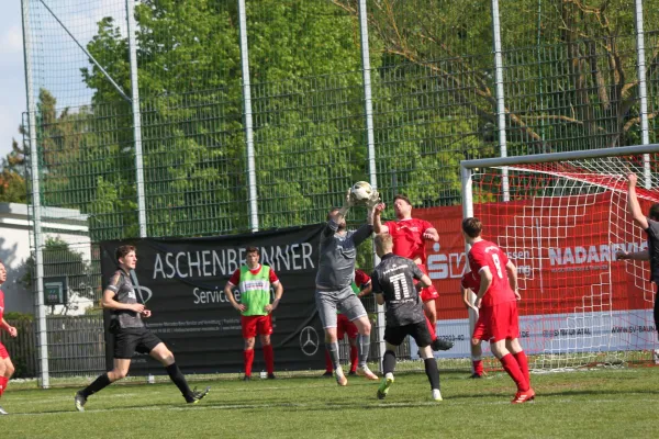 TSV Hertingshausen vs. SG Bad Wildungen/Friedr.