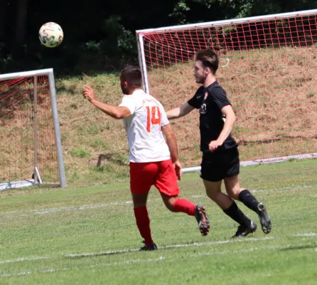 SG Söhrewald II vs. TSV Hertingshausen II