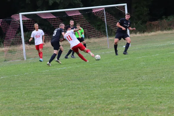 SG Söhrewald II vs. TSV Hertingshausen II