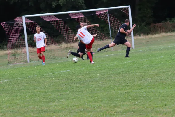 SG Söhrewald II vs. TSV Hertingshausen II