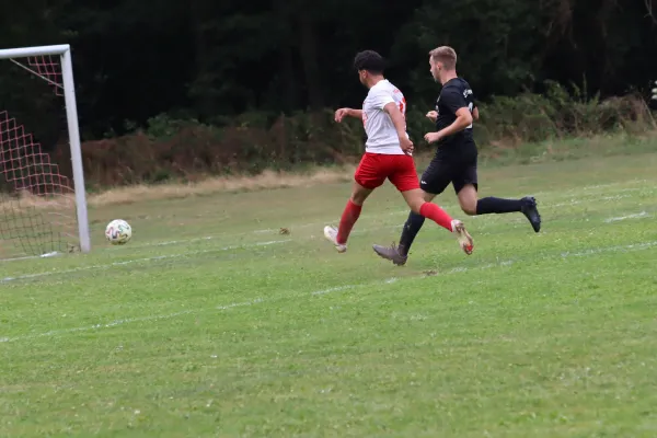 SG Söhrewald II vs. TSV Hertingshausen II