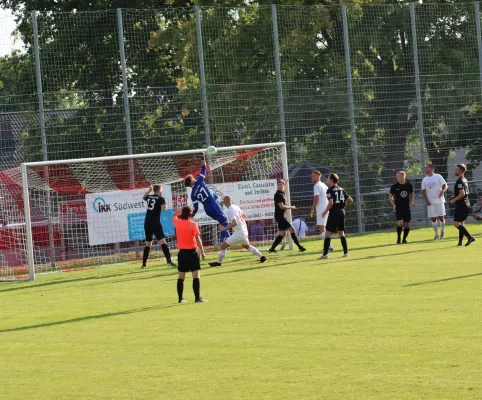 TSV Hertingshausen vs. SG Schauenburg