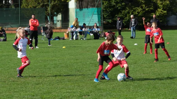 CSC 03 Kassel II : TSV Hertingshausen