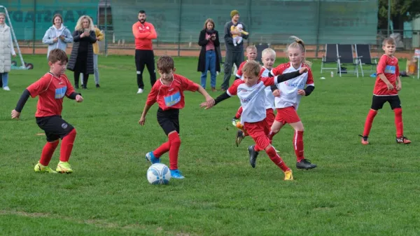 CSC 03 Kassel II : TSV Hertingshausen