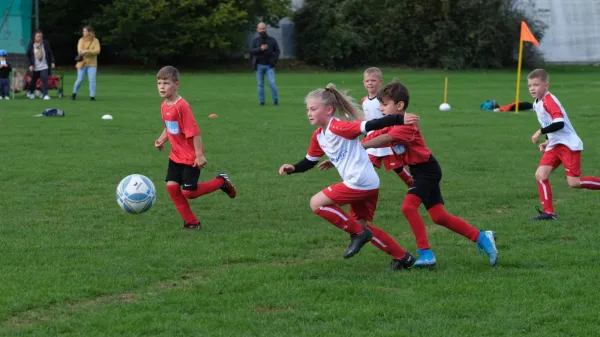 CSC 03 Kassel II : TSV Hertingshausen