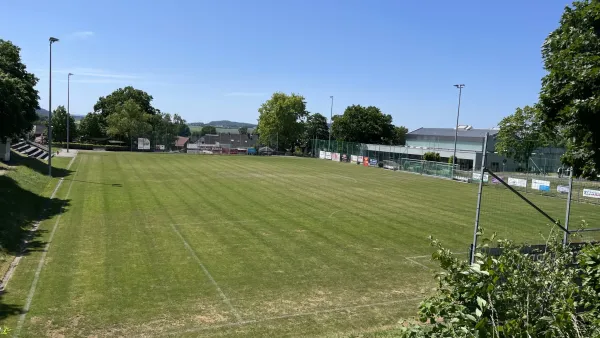 Rasensanierung im Sportpark