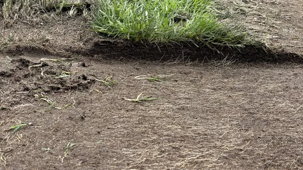 Rasensanierung im Sportpark