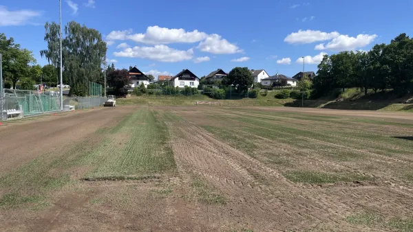 Rasensanierung im Sportpark