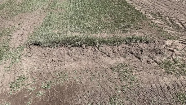 Rasensanierung im Sportpark