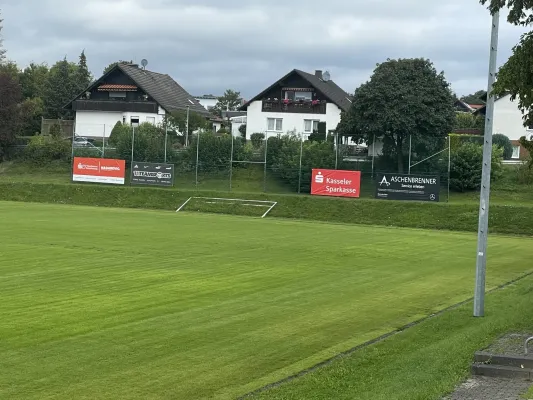 Rasensanierung im Sportpark