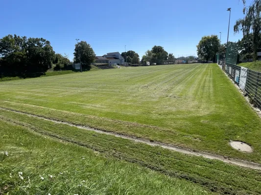 Rasensanierung im Sportpark