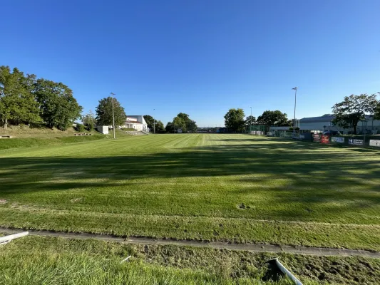 Rasensanierung im Sportpark