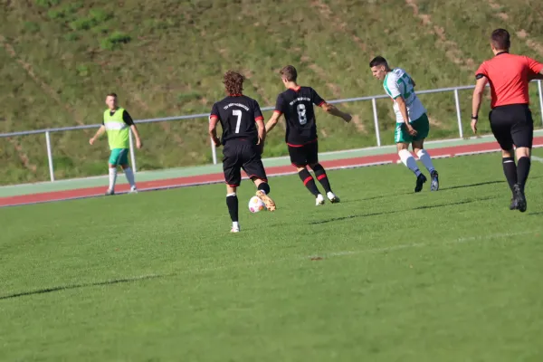 TSV Hertingshausen vs. TSV Heiligenrode