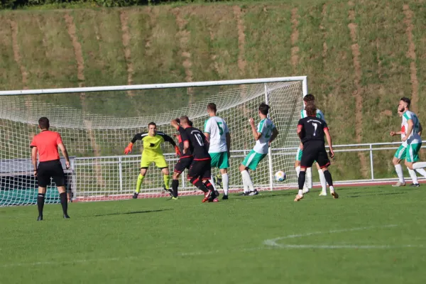 TSV Hertingshausen vs. TSV Heiligenrode