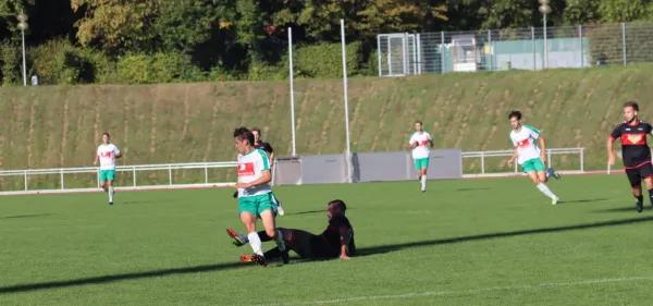 TSV Hertingshausen vs. TSV Heiligenrode