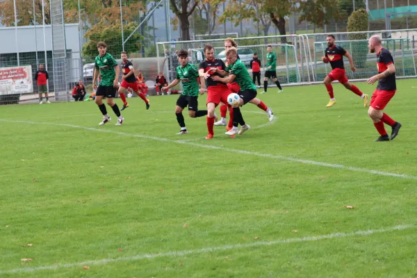 TSV Hertingshausen vs. SG Reinhardshagen