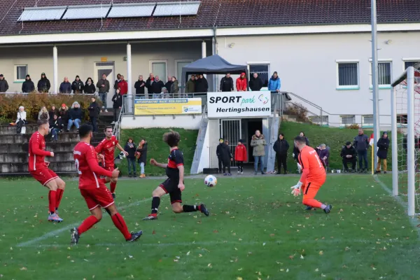 TSV Hertingshausen vs. SV Espenau