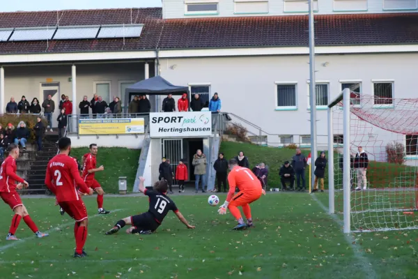 TSV Hertingshausen vs. SV Espenau