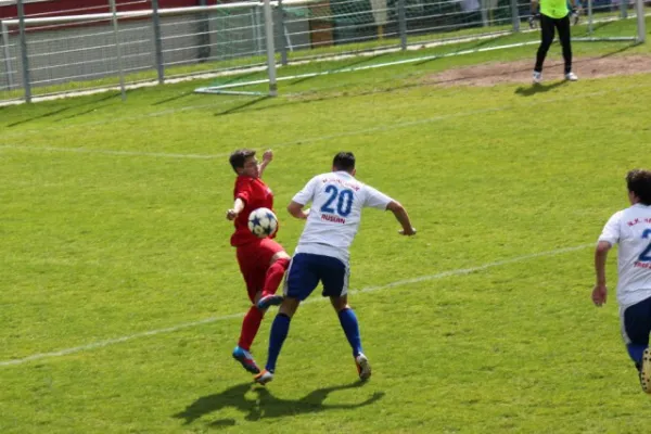 Heimspiel gegen Hajduk Ks.