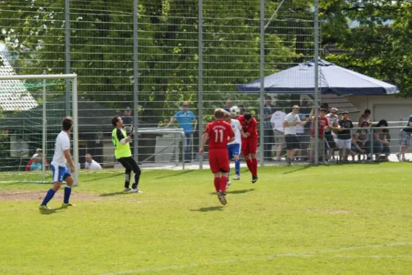 Heimspiel gegen Hajduk Ks.