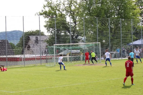 Heimspiel gegen Hajduk Ks.